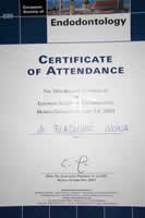 Diploma Ivona Blašković